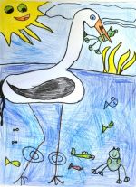 Krokusová Daniela.jpg